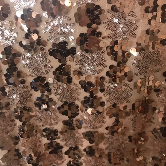 Beautiful rose gold dress( new) - Picture 4 of 4